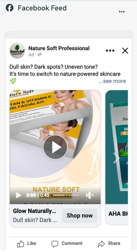 Facebook Feed ad preview