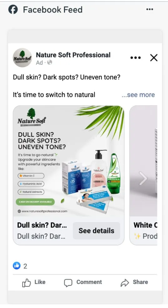 Facebook Feed Carousel ad preview