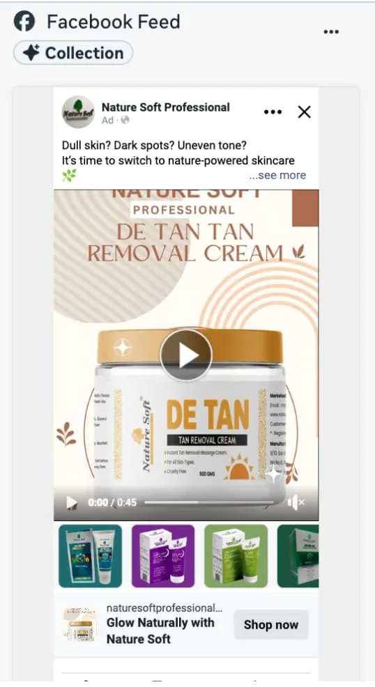 Facebook Feed Collection ad preview