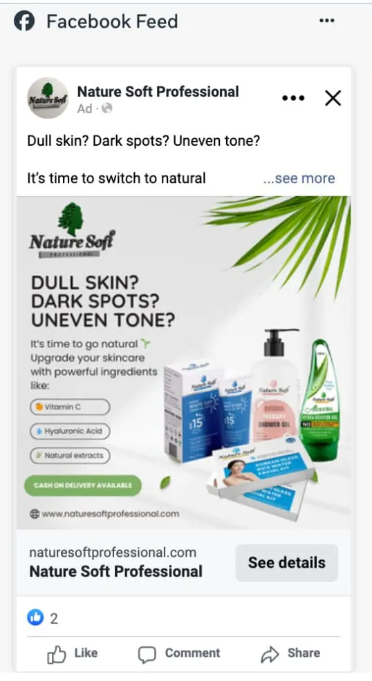 Facebook Feed Single ad preview