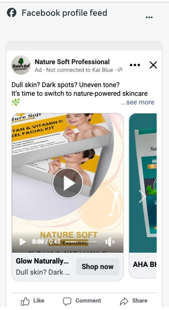 Facebook Profile Feed ad preview