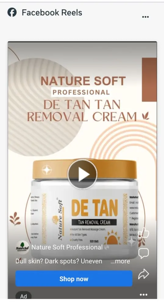 Facebook Reels ad preview